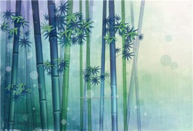 BEAUTIFUL RELAXING BAMBOO PHOTO COOL MODERN OFFICE WALL ART INEXPENSIVE PICTURES