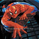Spiderman  Comic Cartoon Super Hero Poster 13 x 19
