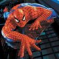 Spiderman  Comic Cartoon Super Hero Poster 13 x 19