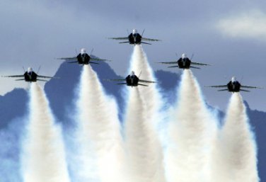 Blue Angels Navy's Flight Demonstration Team Fantastic