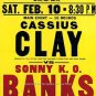 Eary Ali Cassius Clay Banks World Heavyweight Boxing Champion Color Poster Photo