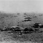 Battle of Gettysburg Deceased Soldiers Photo 11 x 14