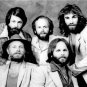THE BEACH BOYS SINGERS SONGWRITERS MUSICIANS MUSIC ARTIST MIKE LOVE BRIAN WILSON