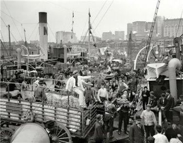 NOSTALGIC EARLY AMERICANA SHIP AND DOCK WORKERS HORSE WAGONS PHOTO NEW YORK 1906