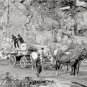 NOSTALGIC SCENE AMERICANA CONCORDE NEW HAMPSHIRE 1908 HORSE WAGON GRANITE PHOTO