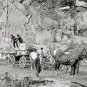 NOSTALGIC SCENE AMERICANA CONCORDE NEW HAMPSHIRE 1908 HORSE WAGON GRANITE PHOTO