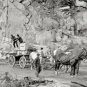 NOSTALGIC SCENE AMERICANA CONCORDE NEW HAMPSHIRE 1908 HORSE WAGON GRANITE PHOTO