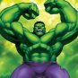 Hulk  Classic Cartoon Super Hero Poster 13 x 19