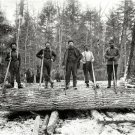 NOSTALGIC MICHIGAN LUMBERJACKS PHOTO 1899 WOOD TIMBER CUTTER LOGGER PAUL BUNYAN