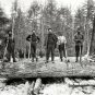 NOSTALGIC MICHIGAN LUMBERJACKS PHOTO 1899 WOOD TIMBER CUTTER LOGGER PAUL BUNYAN