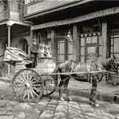 Vintage New Orleans Milk Horse Wagon 1903 Photo Street Vendors Mardi Gras Home