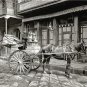 Vintage New Orleans Milk Horse Wagon 1903 Photo Street Vendors Mardi Gras Home