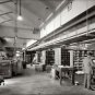 1925 Washington D C Photo U S Postal Workers Mailman Letter Carrier Sorting Mail