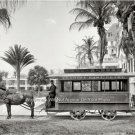 1905 Palm Beach Florida Horse Drawn Trolley Streetcar Early Americana Photo
