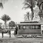 1905 Palm Beach Florida Horse Drawn Trolley Streetcar Early Americana Photo
