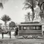 1905 Palm Beach Florida Horse Drawn Trolley Streetcar Early Americana Photo