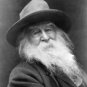 WALT WHITMAN AMERICAN POET ESSAYIST JOURNALIST TEACHER PHOTO