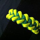 Green Bay Packers / Oregon Ducks