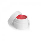 Herbal Mint Lip Blam