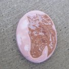 Horse Head