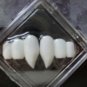 Dark Shadows Barnabas Collins Vampire Fangs Teeth Gothic Unisex Vamp Madame NEW