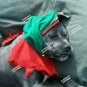 2 pc Green Red Santas Helper Hat Collar Set Christmas Jolly Elf North Pole Dog Costume