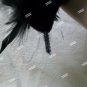 Black Feather Collar Ravenna Maleficent Oz Evanora Cruella De Vil Goth Vamp Boa