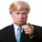 Mr CEO Wig Comb Over Donald Billionaire Republican Apprentice Trump US President