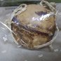 Child Genuine Coconut Shell Bra Bikini Top Hawaiian Luau Party Wear Hula Girl