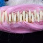 3 pc Deviant Doll Wig Blonde Blue Pink Ponytail Clips Suicide Squad Harley Quinn
