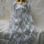 Moses Long Wig & Beard Father Time Poseidon Noah Merman Gandalf Wizard Biblical