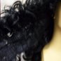 Black Pirate Captain Wig King Charles Vampire Historical Renaissance Count Hook