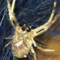 Mixed Blue Long Layers Glamour Witch Wig w Spiders Miss Muffet Blueberry Muffin