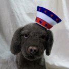 Red White Blue Mini Patriotic Star Sailor GOB Hat Hair Clip Adult Kids Dog Cat Red White Blue Mini Patriotic Star Sailor GOB Hat Hair Clip Adult Kids Dog Cat