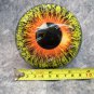 2 Large Eyeball Orbs Orange Yellow Eyes Round Pupil Monster Halloween Prop Haunted House Decor