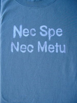 Nec Spe Nec Metu