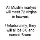 Muslim Martyrs