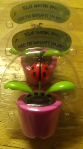 Solar Dancing bugs ( lady bug )