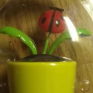 Solar Dancing bugs ( lady bug )