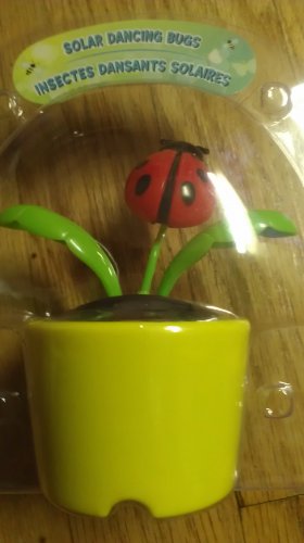 Solar Dancing bugs ( lady bug )
