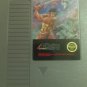 Wizards & Warriors [ NES ]