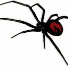 Incy-wincy tippet spool