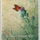 Monarch Butterfly Original