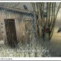 Abandoned Shack Print