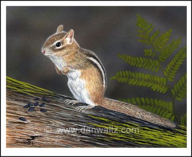 Chipmunk Original Painting