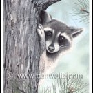 Raccoon Print