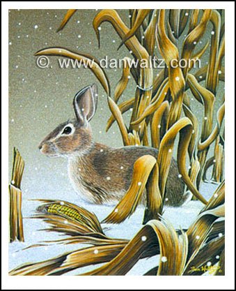 Cottontail Rabbit Print