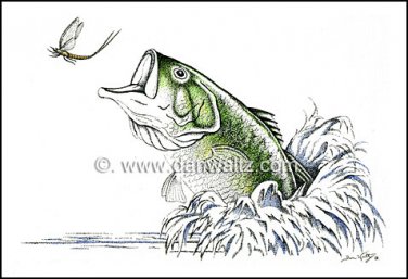 Largemouth Bass Illustration Original