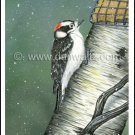 Downy Woodpecker Print