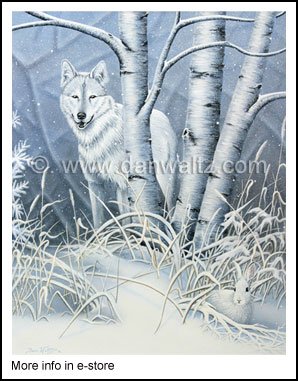 Grey Wolf / Snowshoe